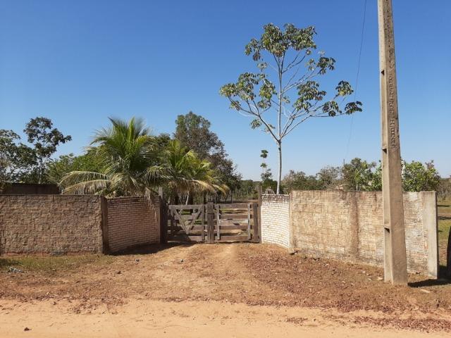 Chácara com 5 hectares no Rio Bandeira,com acesso de barco ao Rio Cuiabá - Foto 13