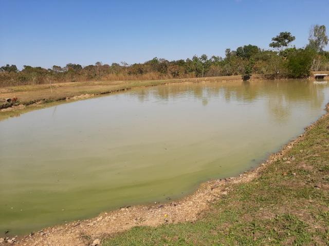 Chácara com 5 hectares no Rio Bandeira,com acesso de barco ao Rio Cuiabá - Foto 2
