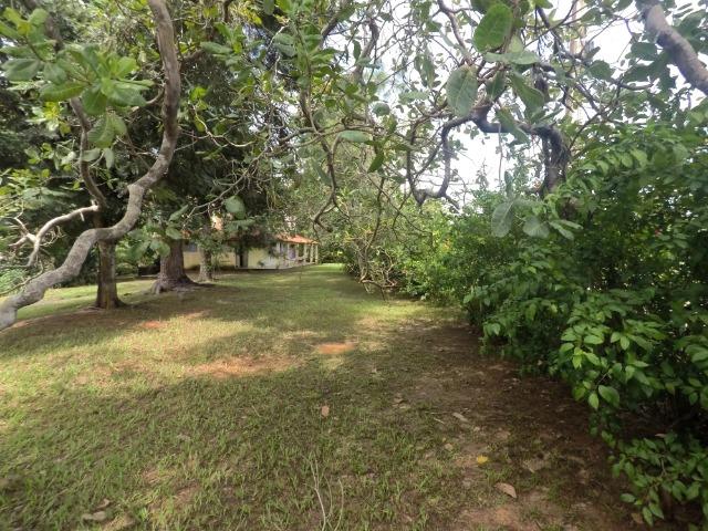 Sítio em Candeias com 9.174m2 - Foto 9