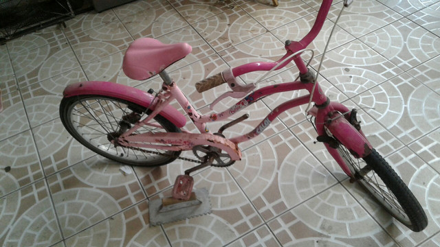 Bicicleta da barbe - Foto 2