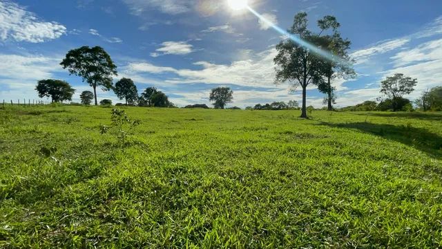 Vende-Se 13 alqueires em Trindade-GO
