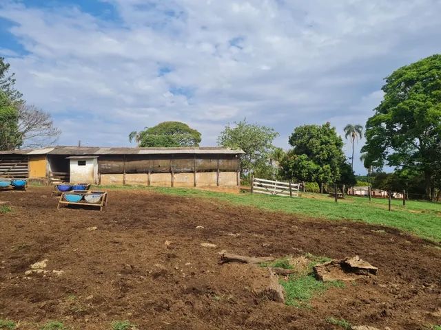 Fazenda de 15 alqueires  em Anápolis - Foto 3