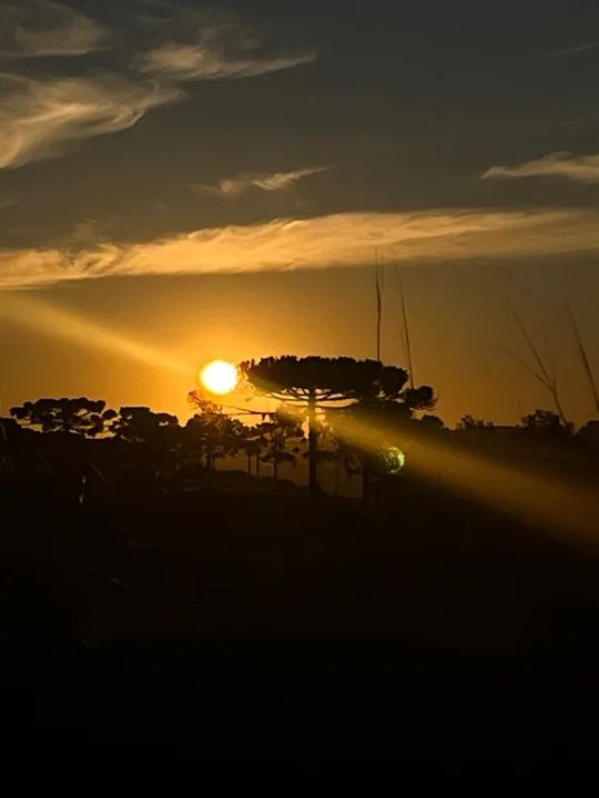 foto - Tubarão - Revoredo