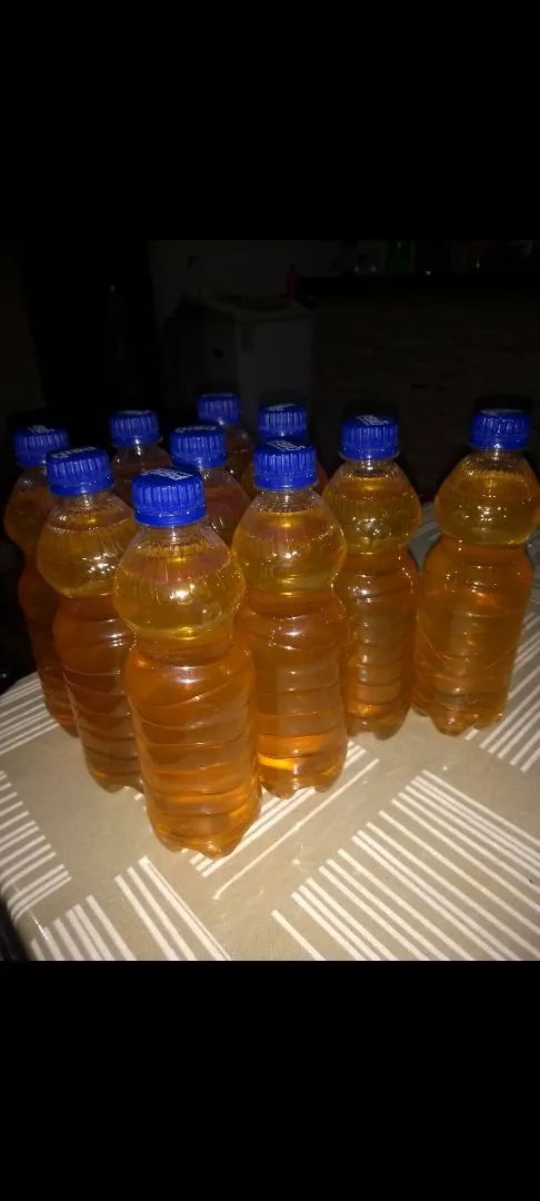 Mel de Abelha Puro R$ 30,00