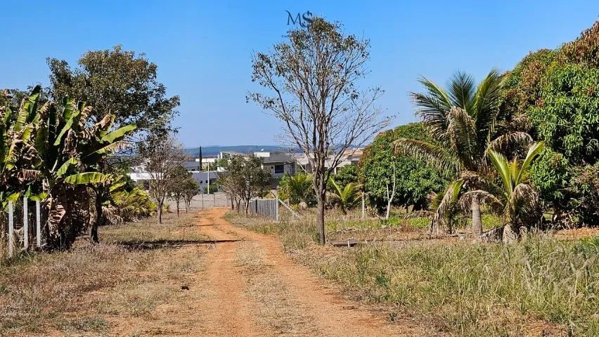 Lote(chácara)  condomínio fechado - Santa Maria-DF - Foto 5