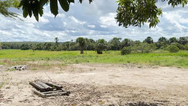 Fazenda em Rio Sono. Formada. - Foto 5