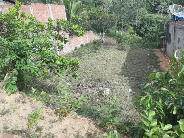 Terreno em penedo 10x30