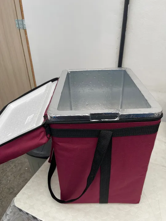 Bag cx térmica nova 28L