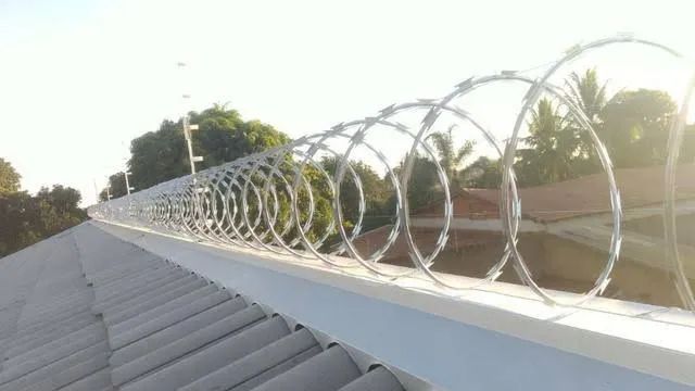 Concertina e Cerca elétrica  - Foto 3