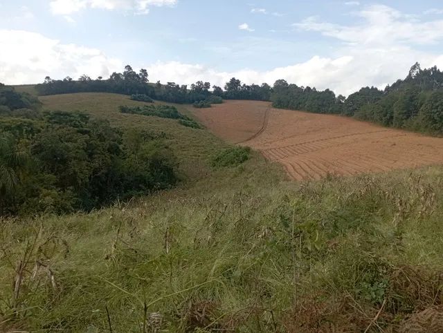 Sítio / chácara 7,5 alqueires  - Foto 2