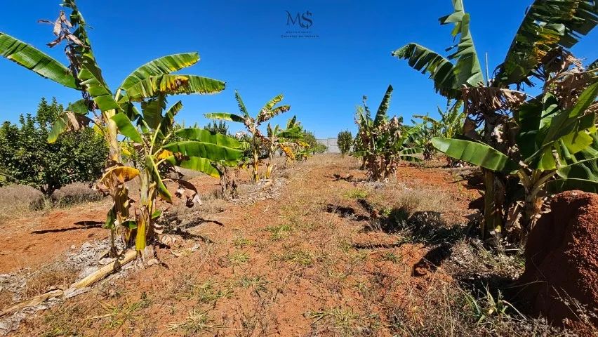 Lote(chácara)  condomínio fechado - Santa Maria-DF - Foto 12