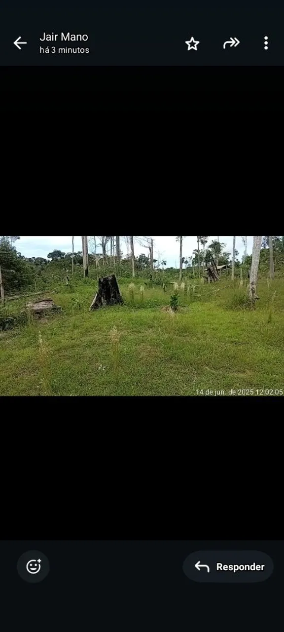 Terreno ramal do castanheira km6