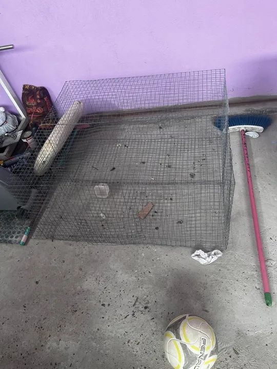 Gaiola grande bem ampla  - Foto 3