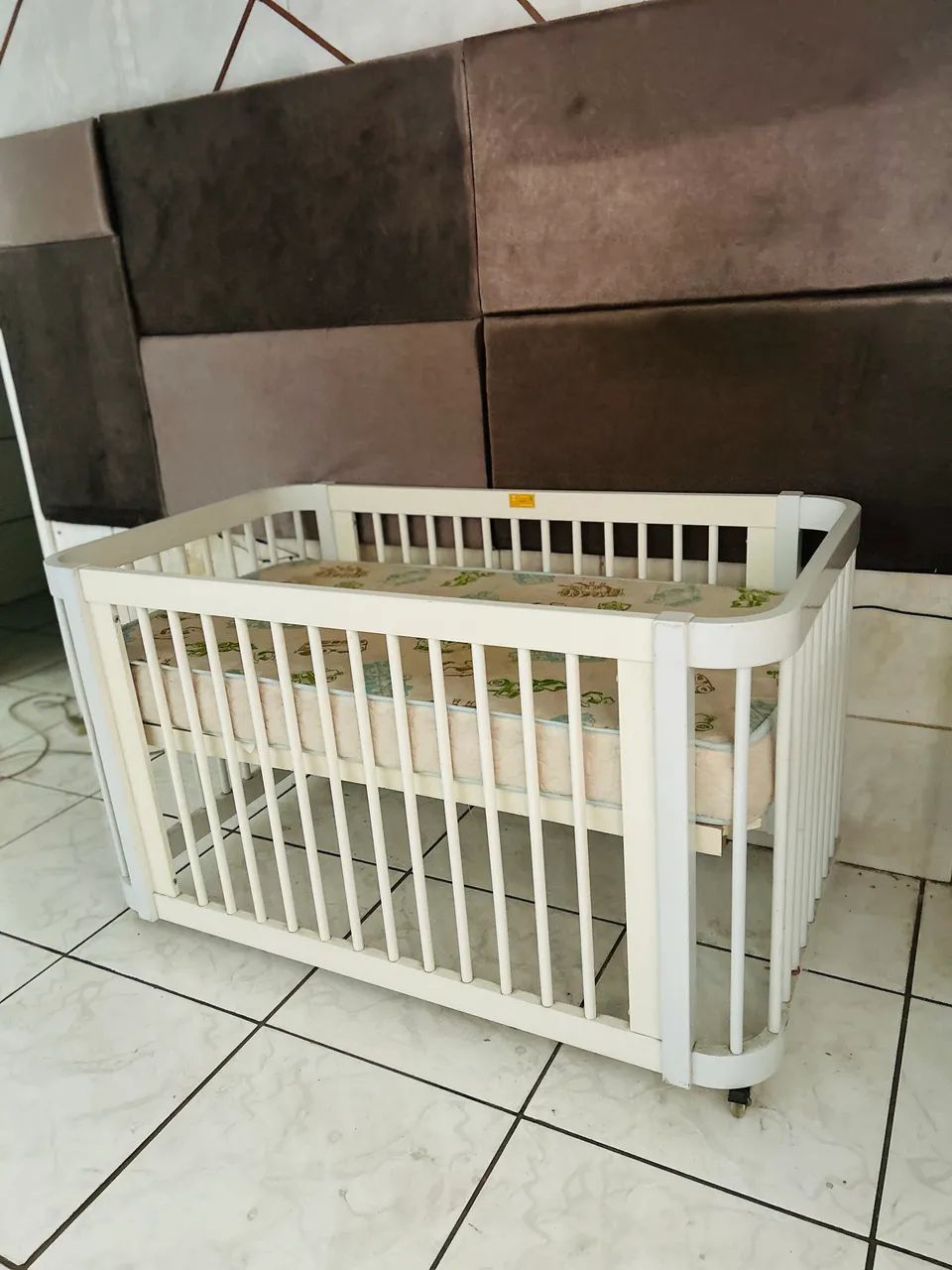 Berço evolutivo 64573909879169122
