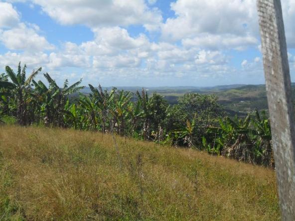 Fazenda Santana - Gravatá/PE - Zona Rural - Foto 12