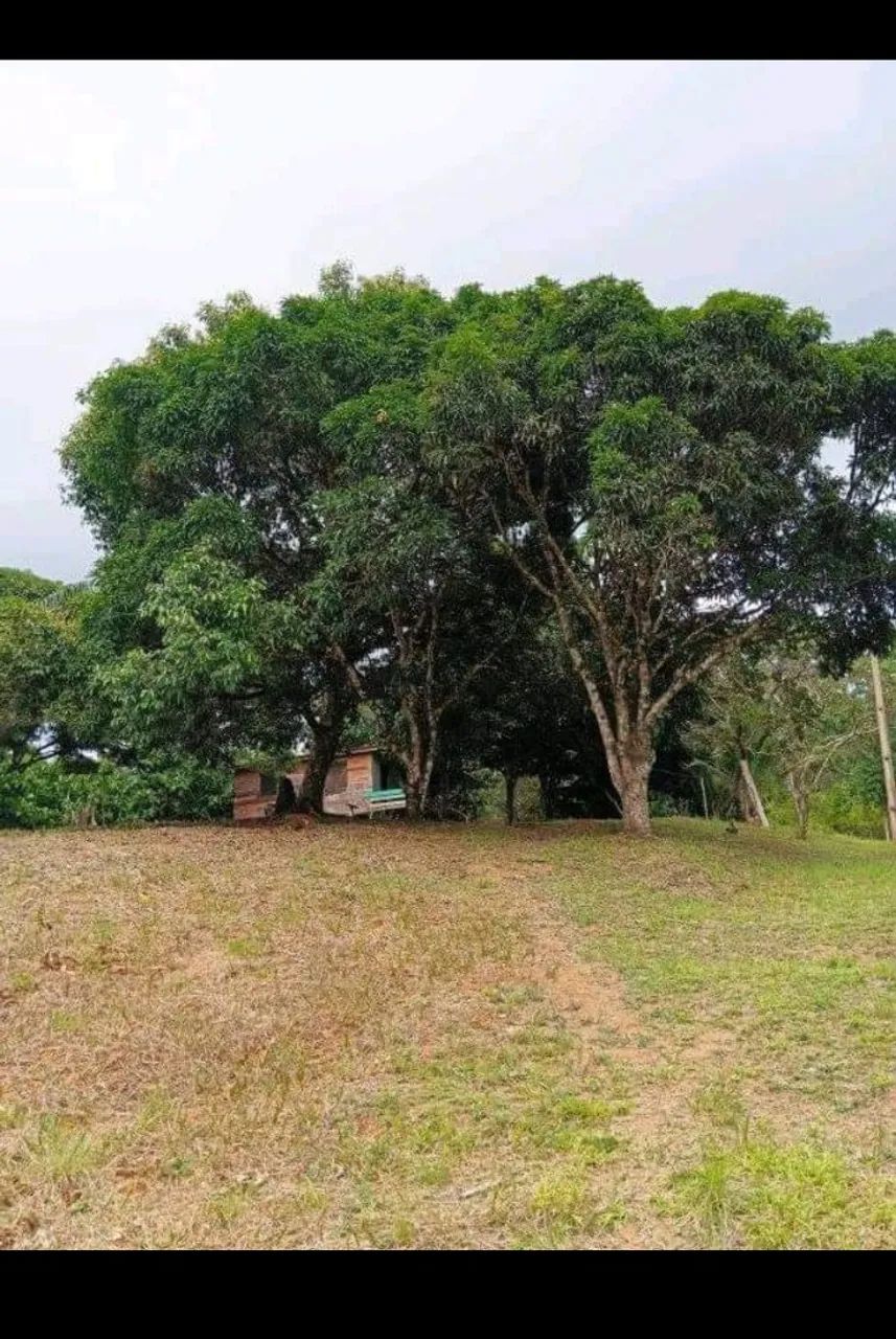 Sítio com vista para a natureza exuberante! - Foto 3