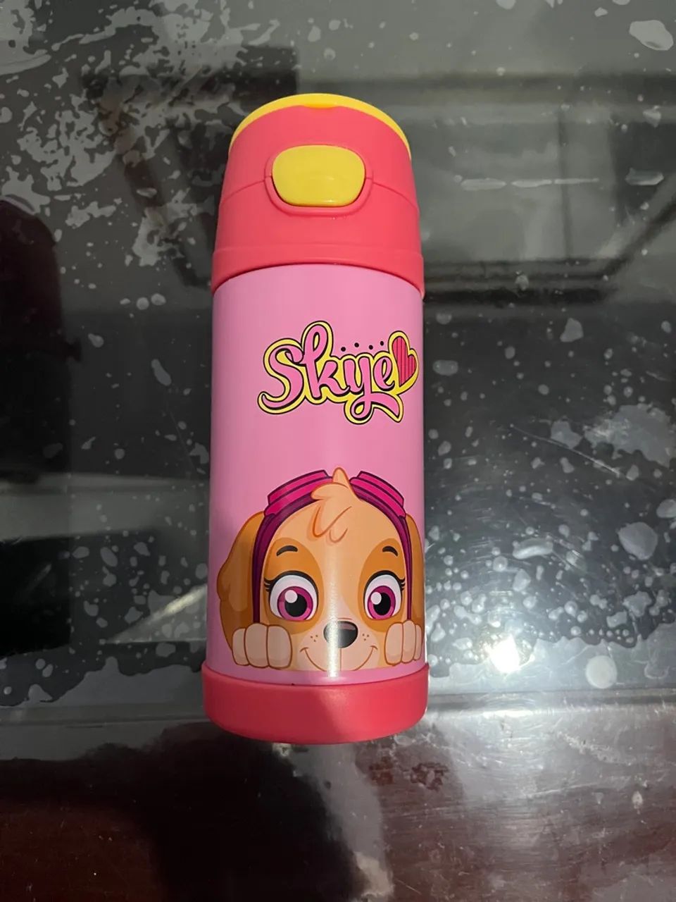 Garrafa térmica infantil Top Handle Skye - Patrulha Canina