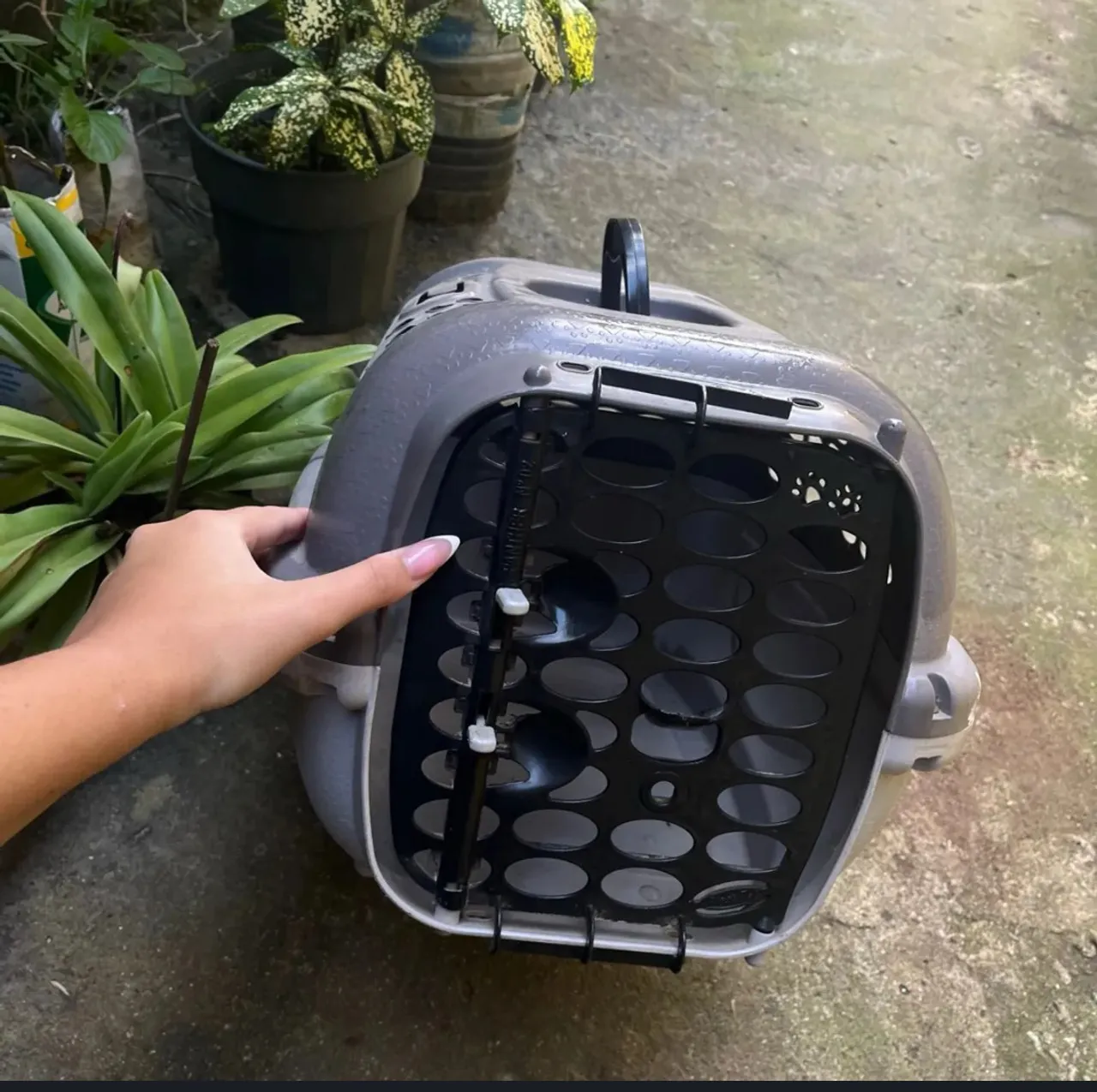 Casinha de transporte para pet