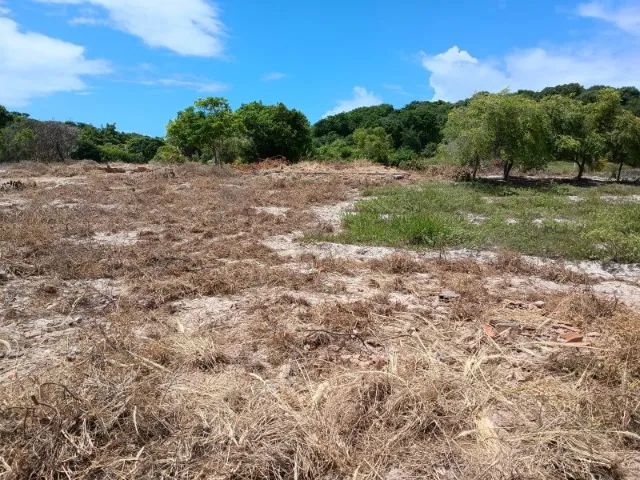 Lote / Terreno Povoado Jatobá - Chácara - Foto 4