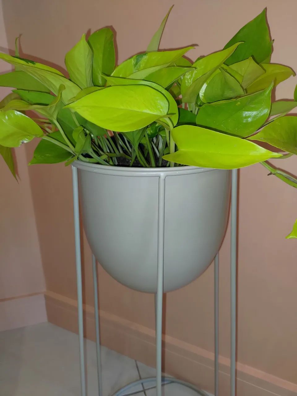 Suporte para plantas