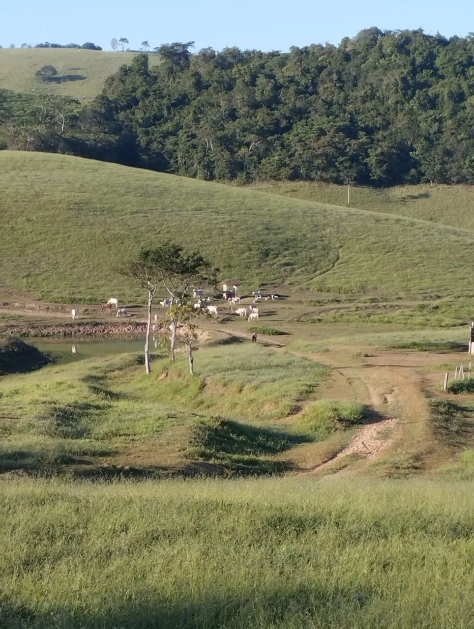 Fazenda com 100 hectares