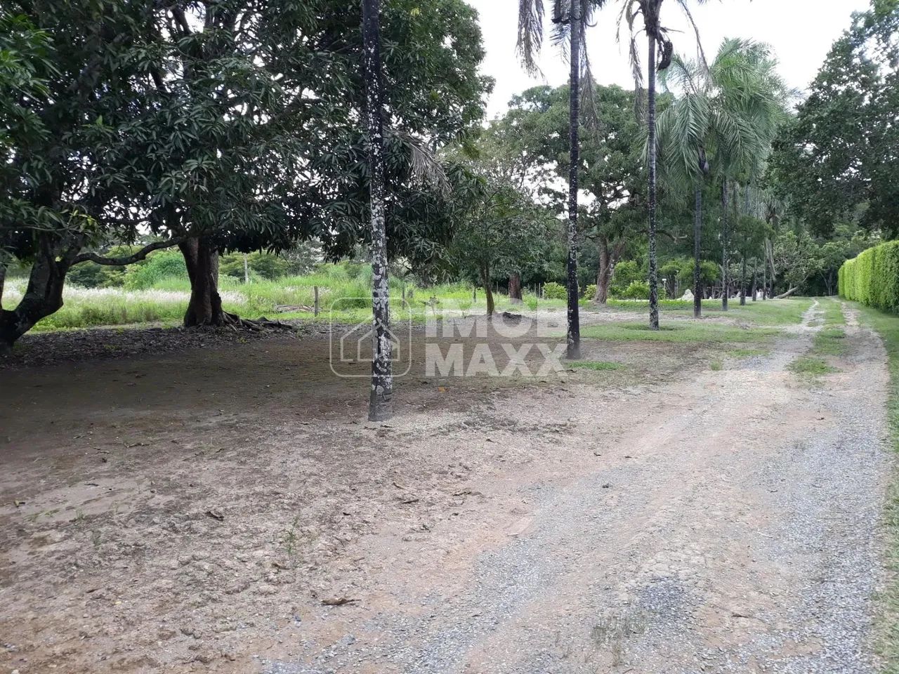 Chácara formada, excelente oportunidade, margem Rio Maranhão, pomar, em Planaltina DF. - Foto 9