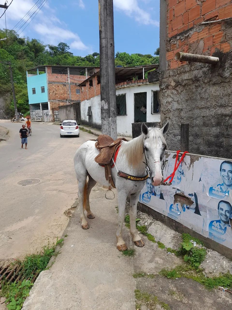 Cavalo a venda!!!! - Foto 2