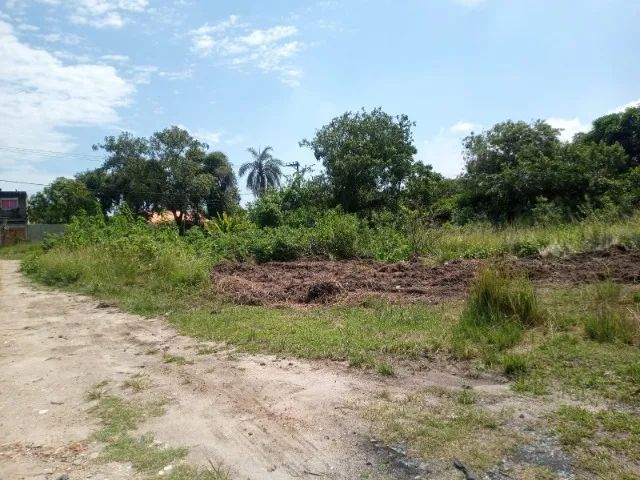 Terreno  - Foto 5