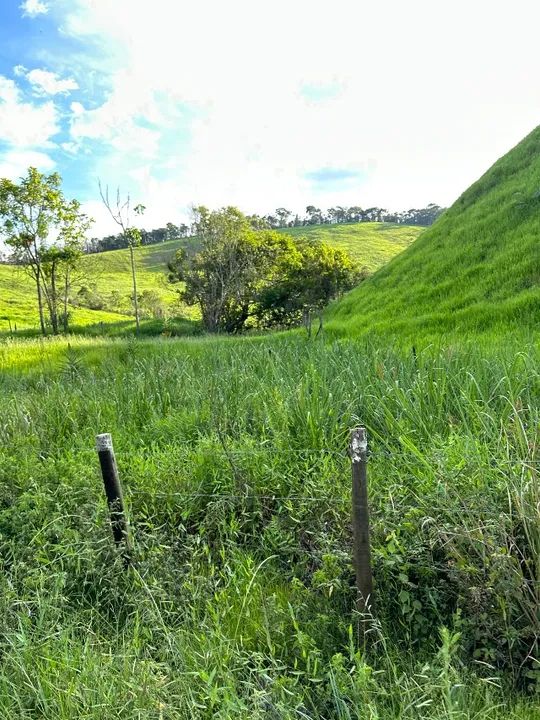Sítio 70 hectares Juiz de Fora Mg 1,4k - Foto 10