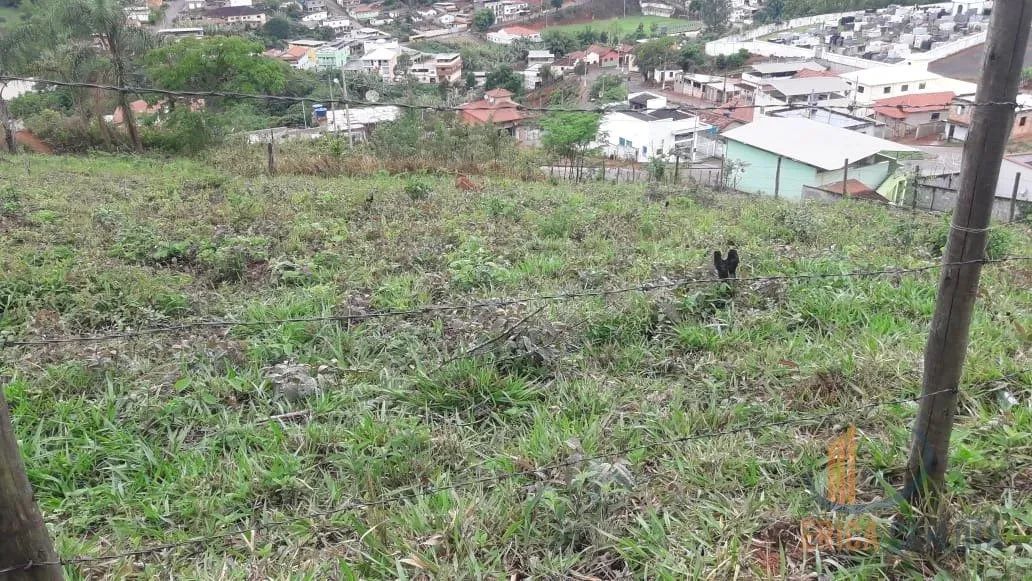 Lote bairro Centro na Cidade Lamim - Foto 5