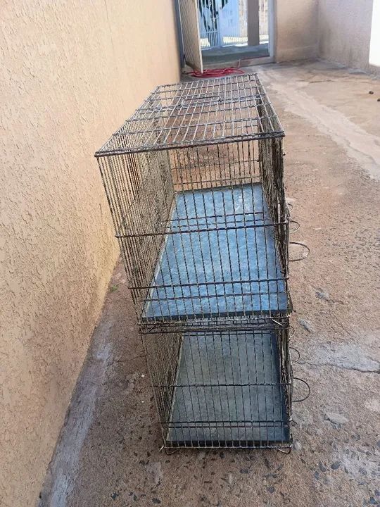 Gaiola criadeira para canário  - Foto 3