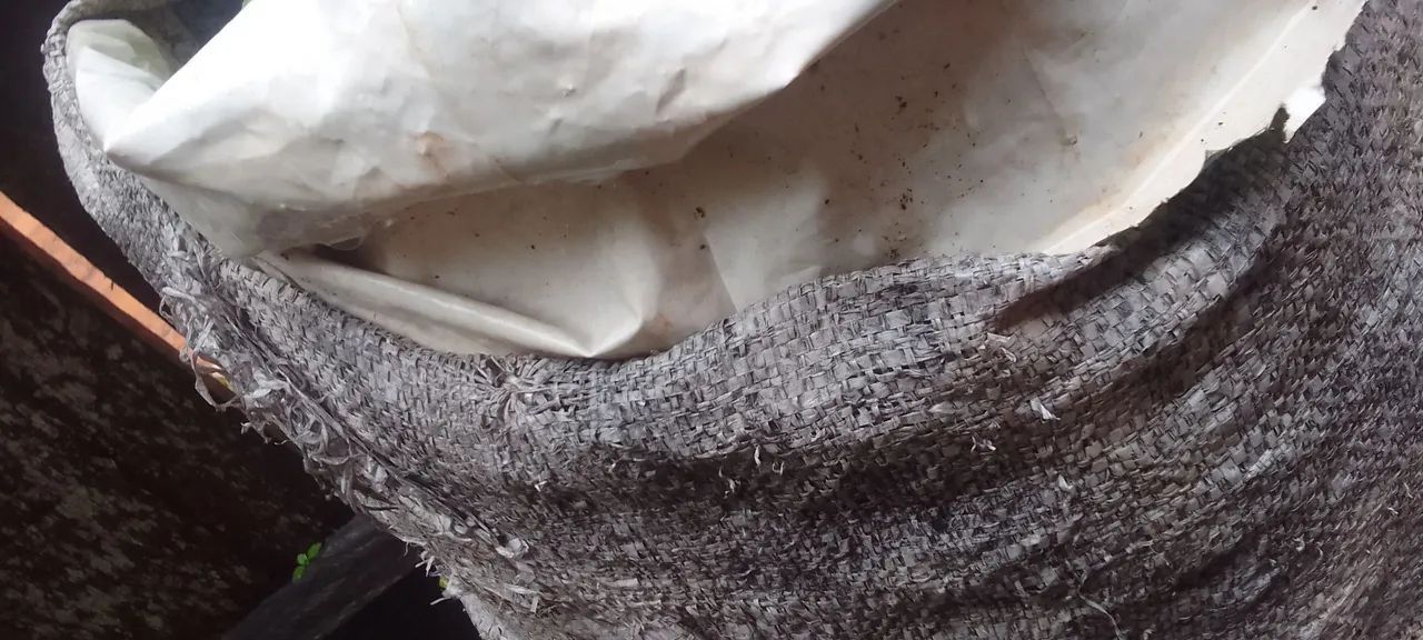 Vende se carvão 25reais 