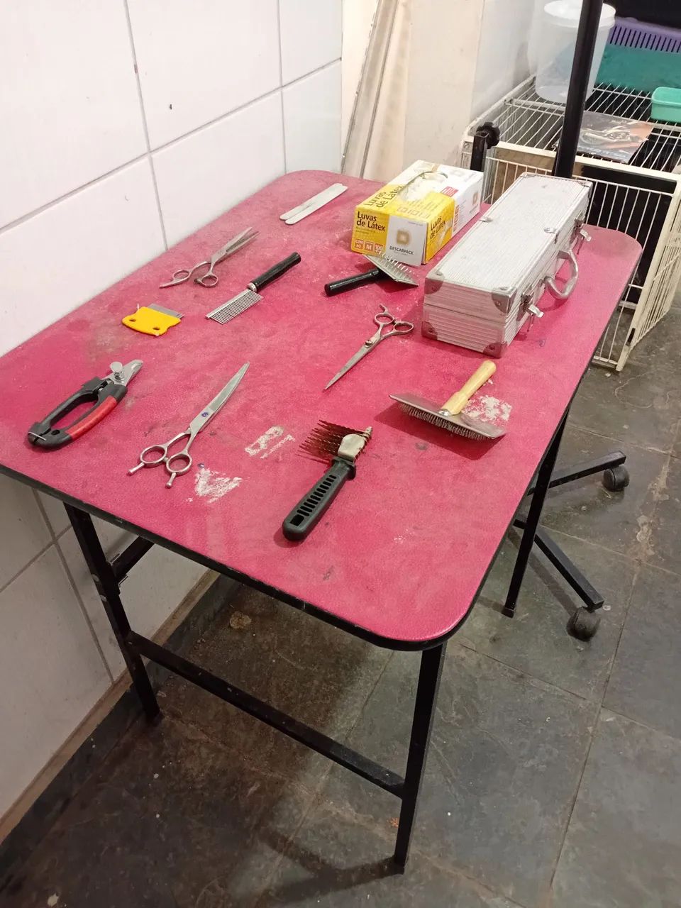 Banho e tosa completo imperdível - Foto 2