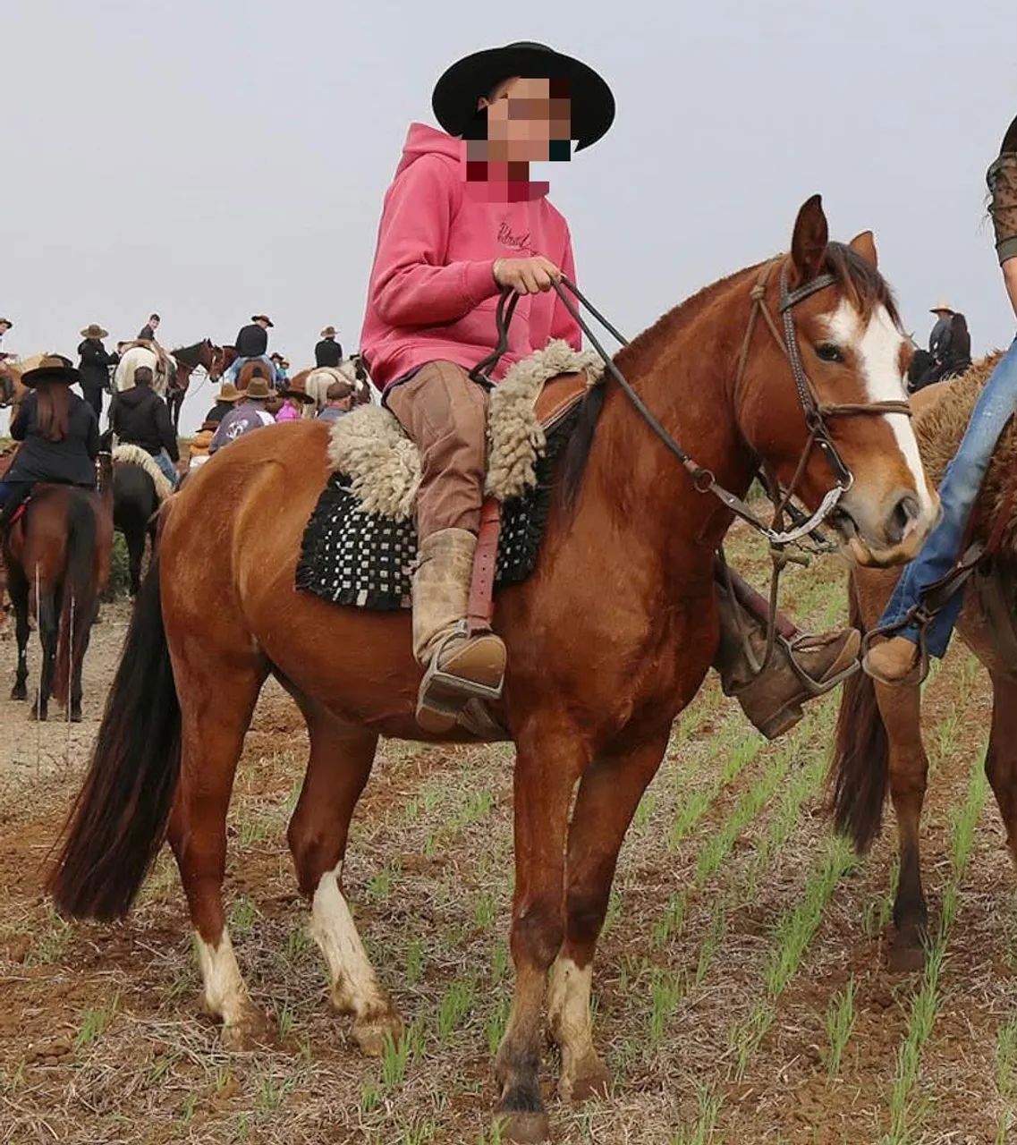 Cavalo Colorado - Foto 2