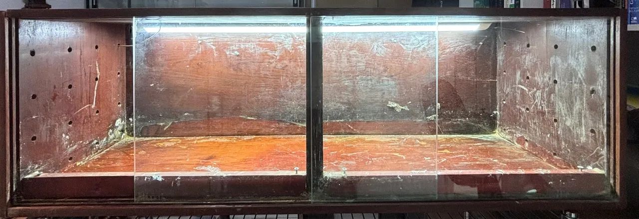 Terrário para répteis - Foto 3