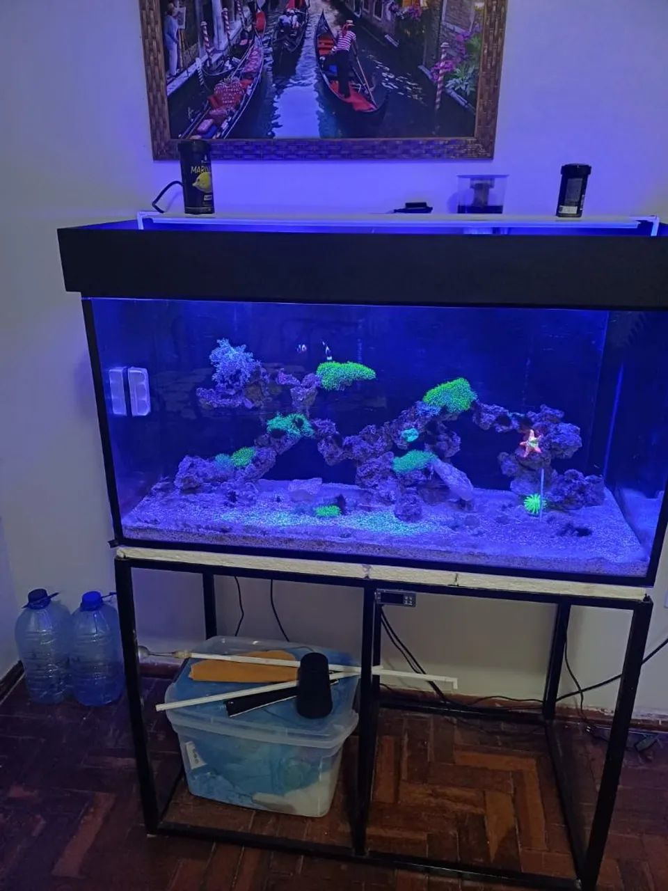 Aquário marinho 250 litros completo