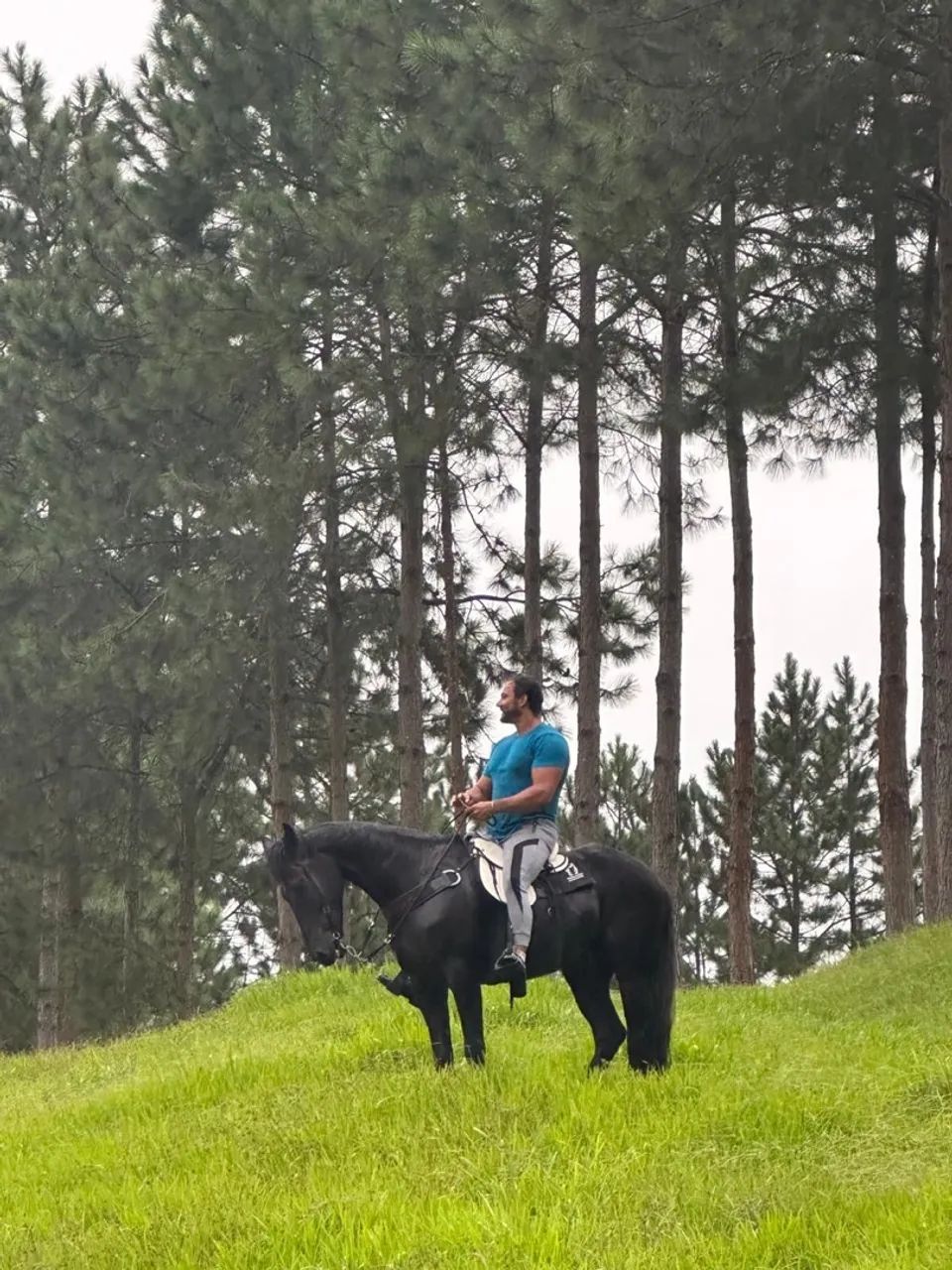 Cavalo Preto para Passeios manga larga