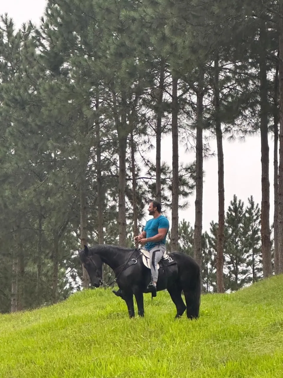 Cavalo Preto para Passeios manga larga