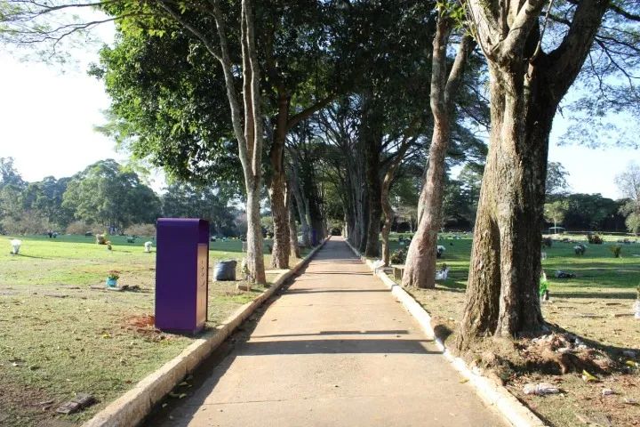 Jazigo familiar permanente oportunidade - Foto 5