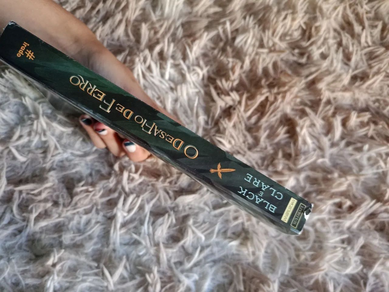 LIVRO: O Desafio de Ferro - Foto 2