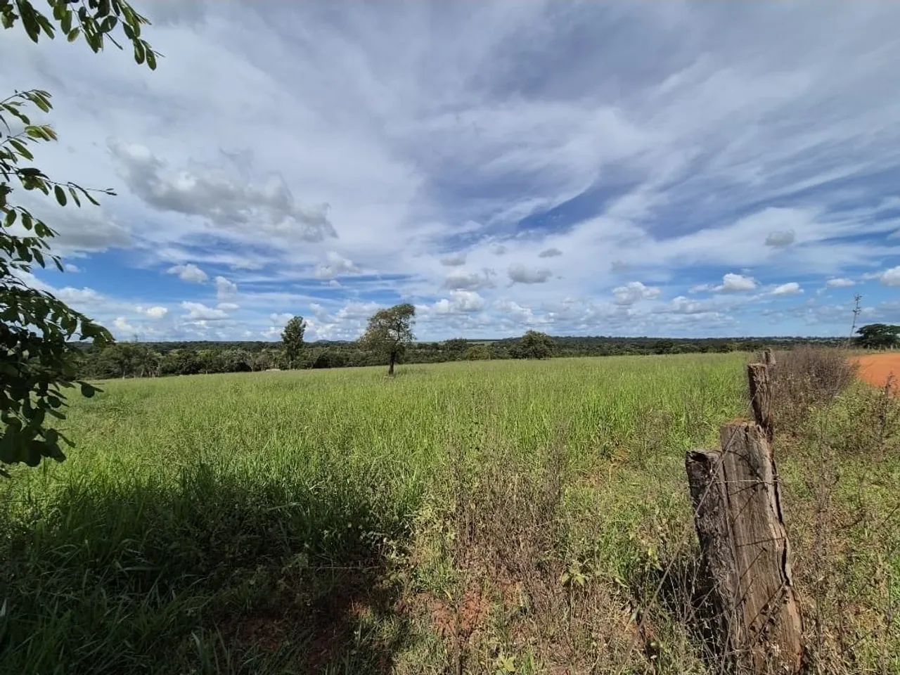 Fazenda em santa vitória  - Foto 5
