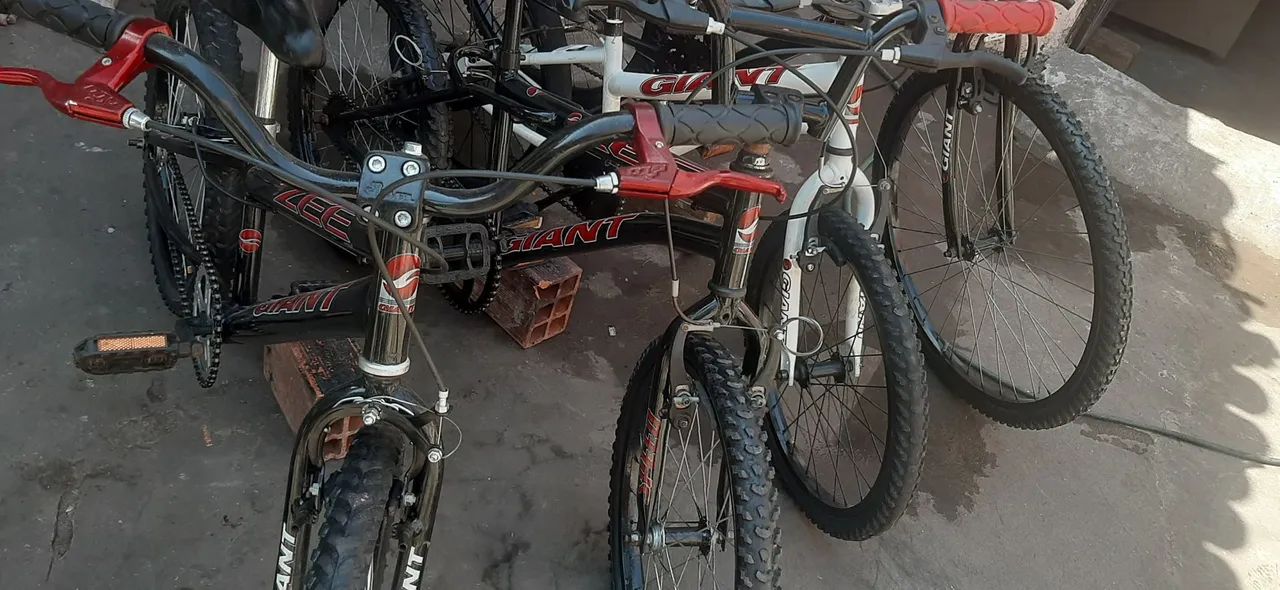 Bicicletas 