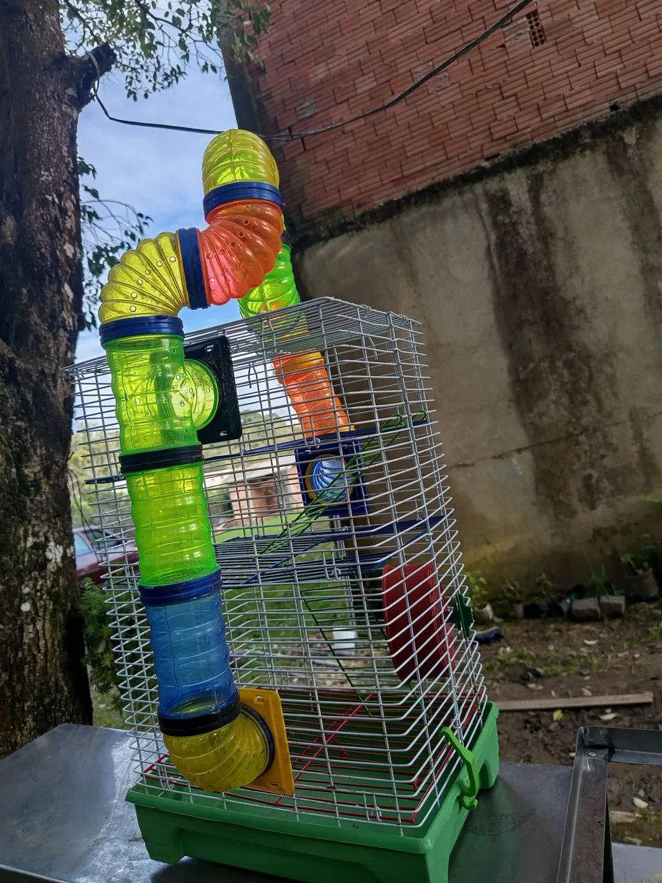 Gaiola  - Foto 2