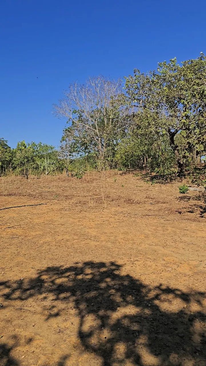 Lote 3600m² TO 010 Saida para Aparecida. Km 05 Pertinho. - Foto 2
