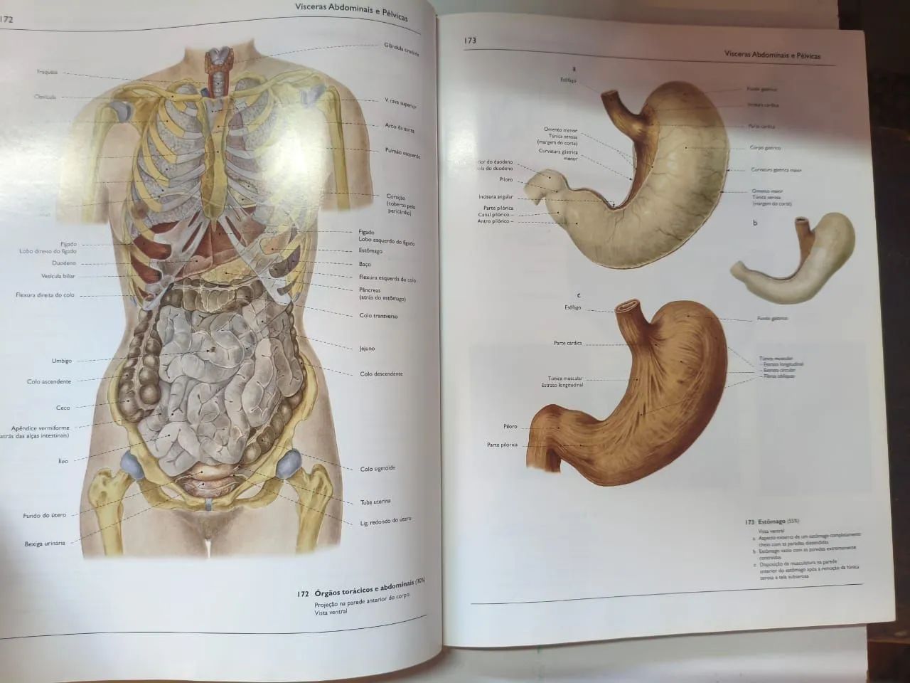 Atlas de Anatomia. Volume 1 e 2 - Foto 2