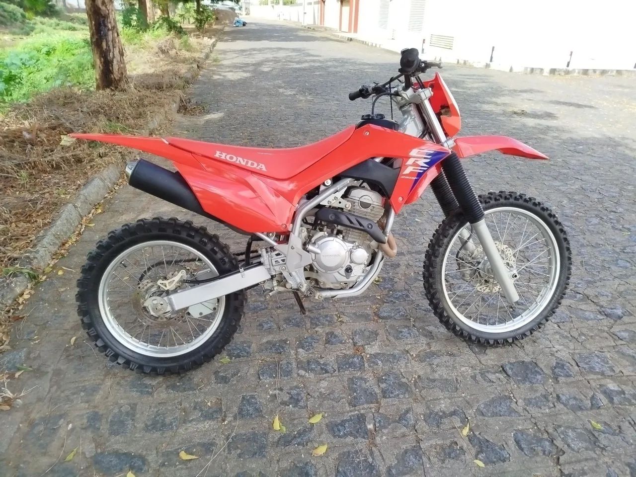 CRF extra  - Foto 5