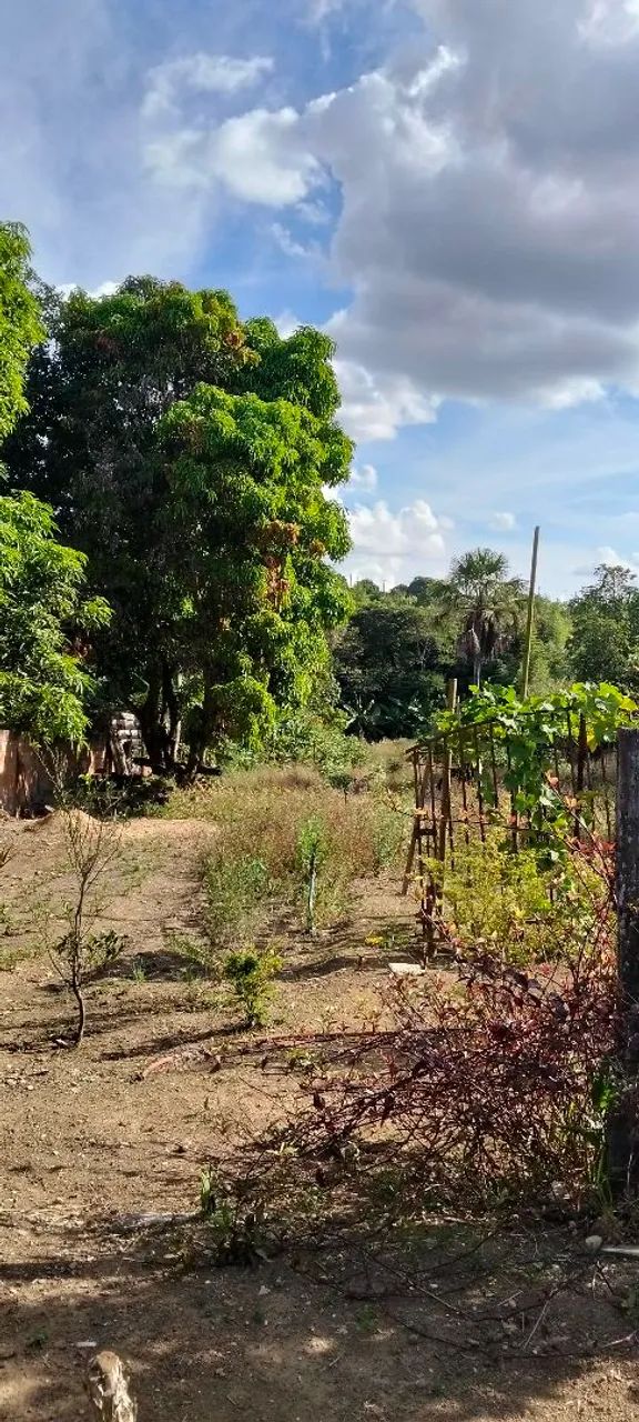 Foto - Brasília - Riacho Fundo II