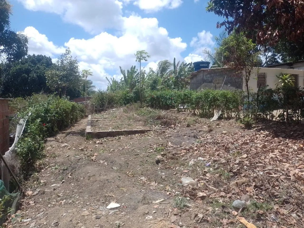VENDO terreno lote 56, Jaboatão  - Foto 3