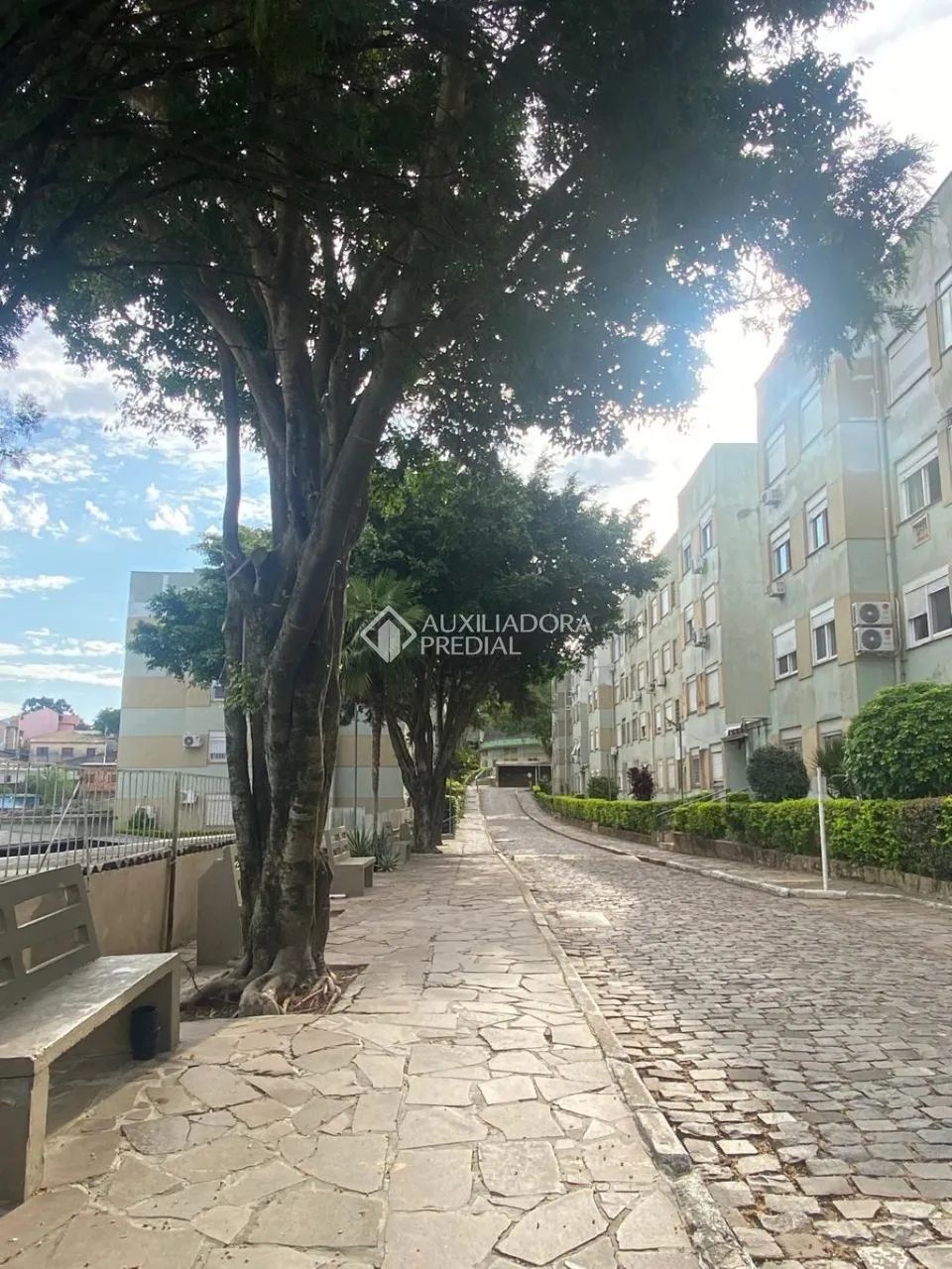 Apartamento no Santa Tereza, Porto Alegre - Foto 3