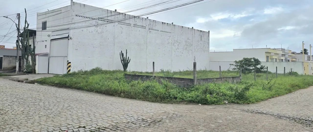 GALPÃO INDUSTRIAL  - Foto 2